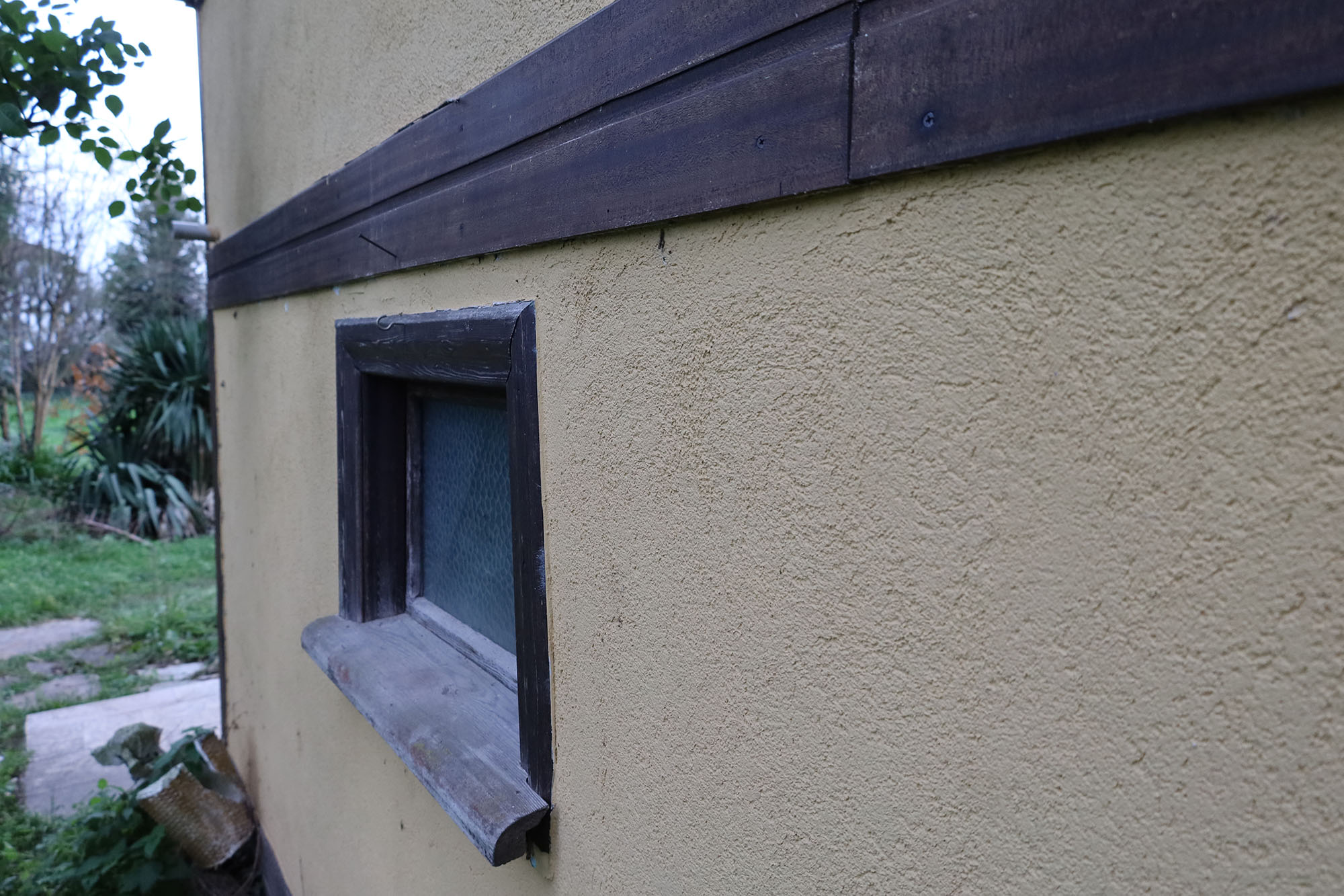 Evi görünce terk etmeyi düşündü: Binlerce kokarcanın istila kabusunu TUTSAK bitirdi