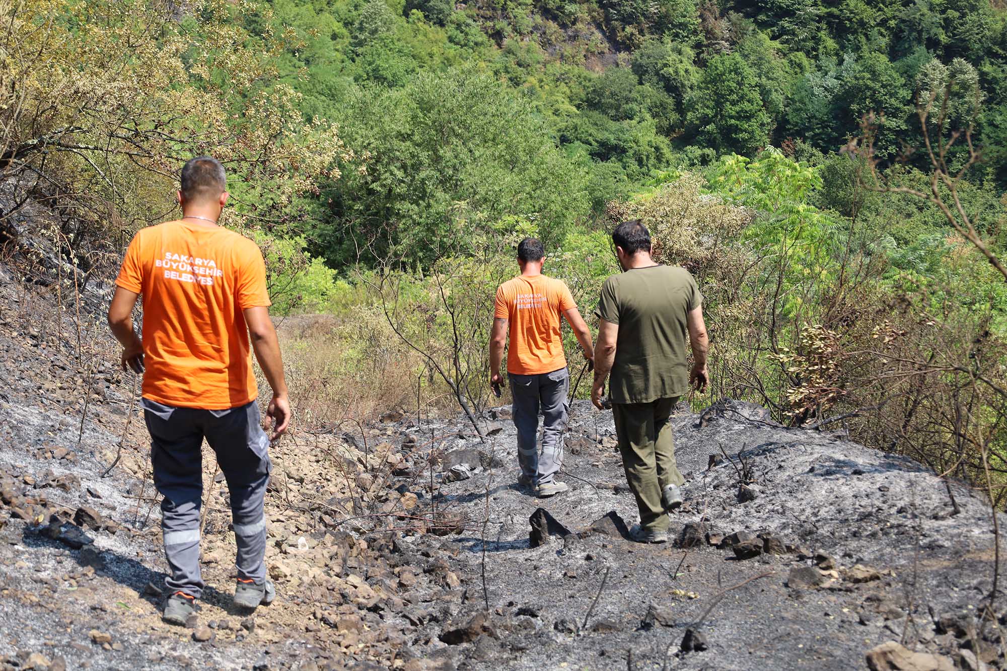 Büyükşehir alevlerin sardığı orman yangınlarında can dostlar için harekete geçti