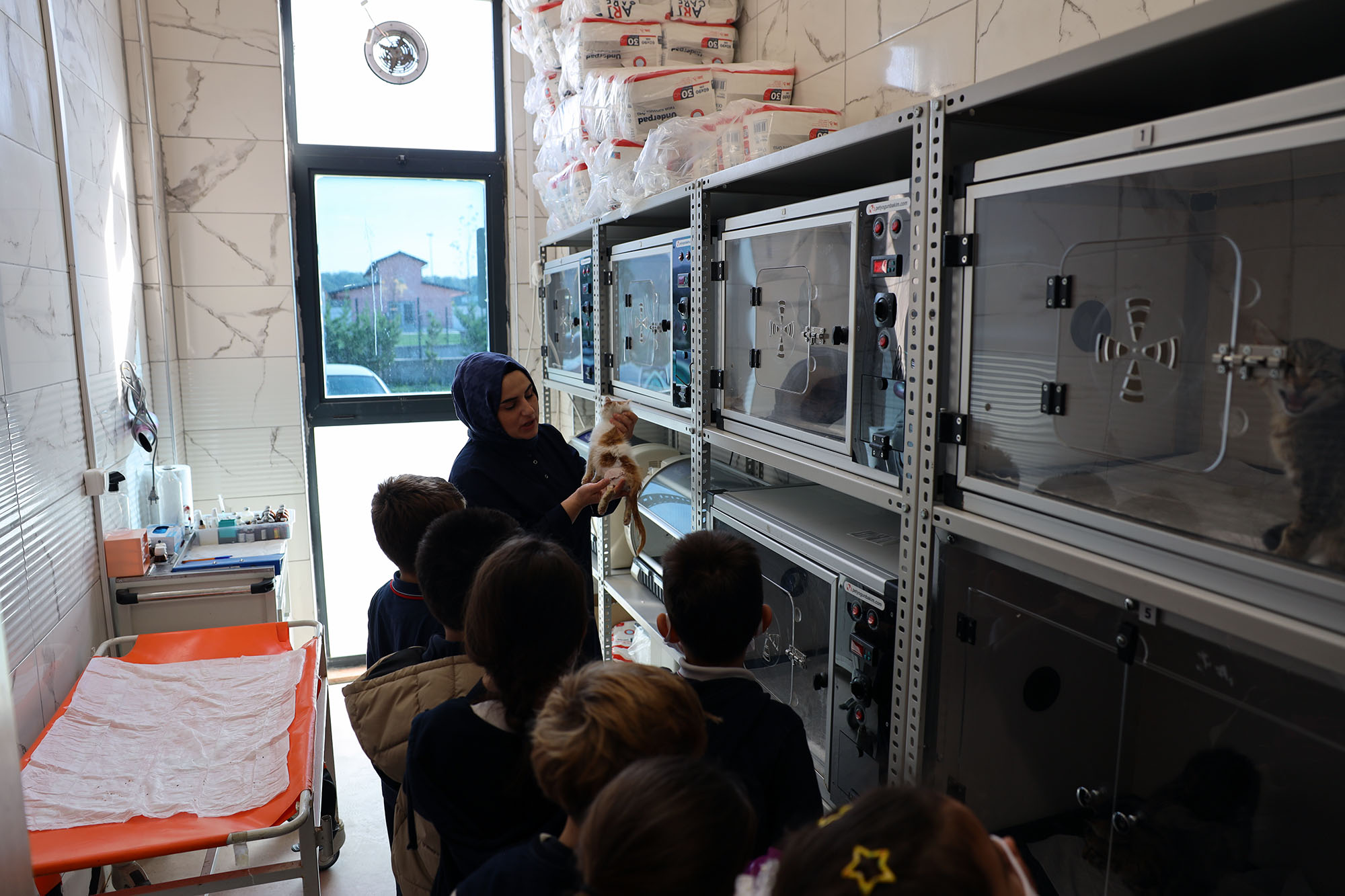 Sevgi dolu buluşma: Can dostların yeni dünyasına hayran kaldılar