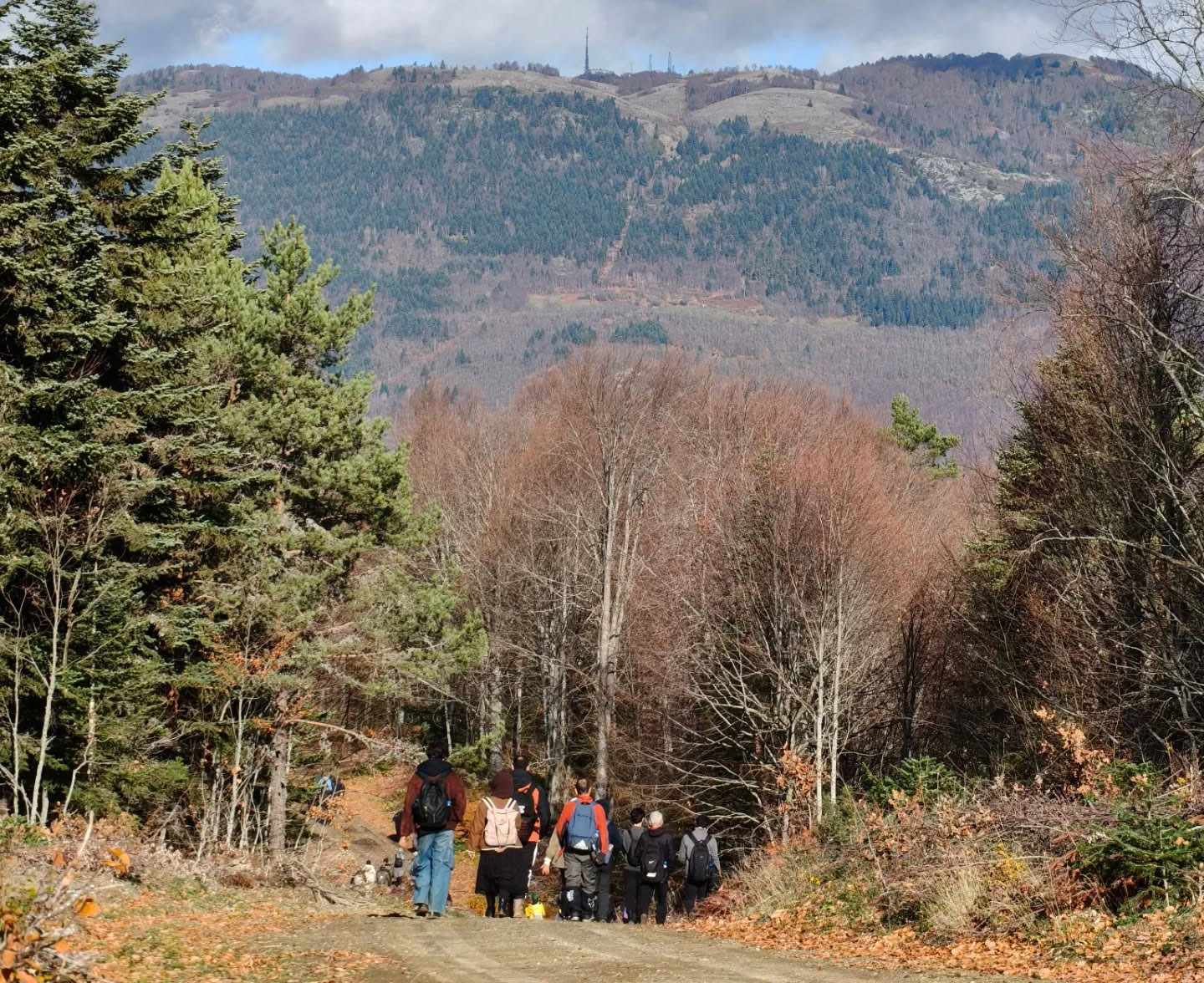 Sakarya’da doğa yürüyüşlerine büyüleyici final: Kıranyurt