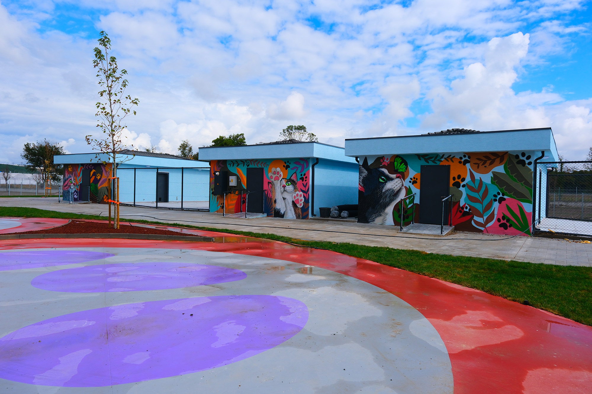 Doğal Yaşam Kampüsü’ne anlam katan grafiti sanatı