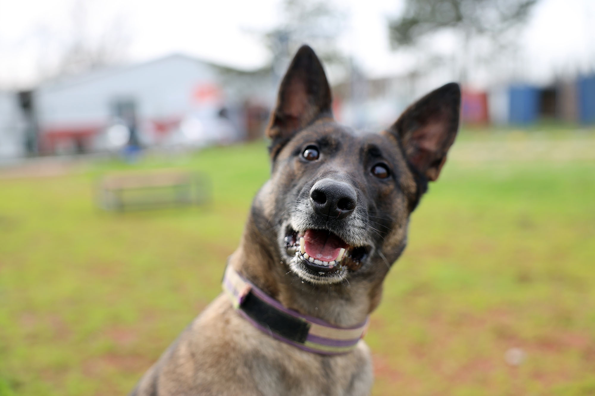 Reina, Ateş, Google ve Qill en zor anda ‘umut’ olmak için hep hazır kıta