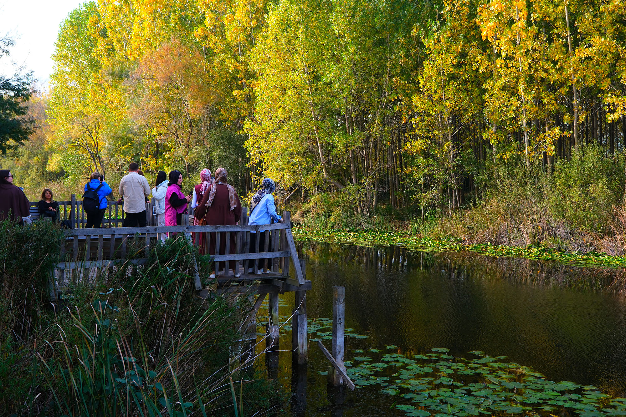 Kuzeyin tabiat harikaları arasında unutulmaz bir sonbahar yürüyüşü
