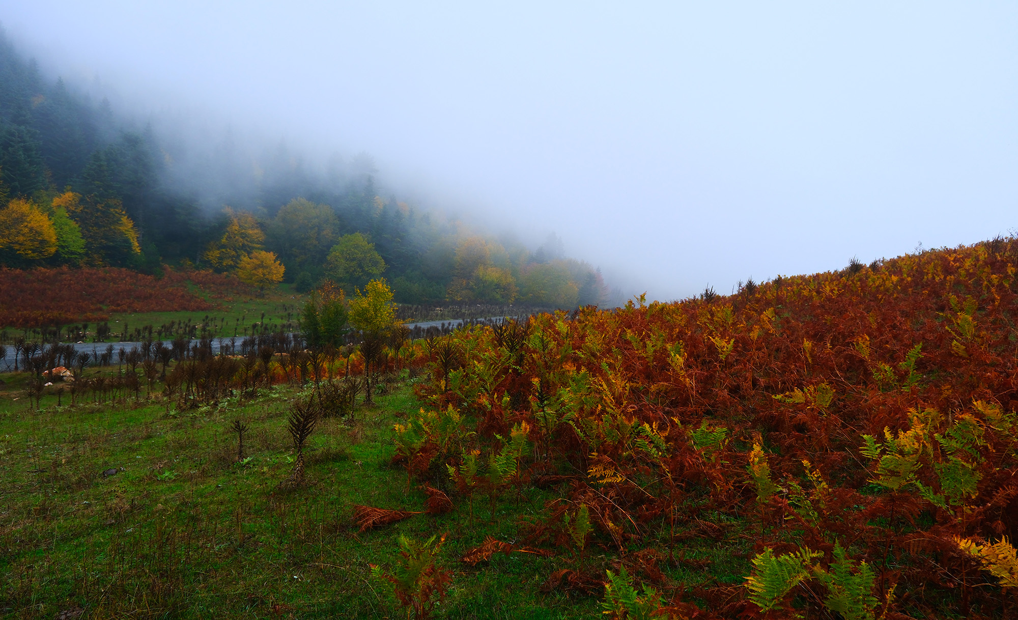 Sisler içindeki Kılıçkaya’da büyüleyici gün 