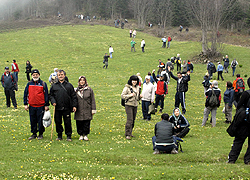 Dikmen Yaylası'nda Doğa Şenliği