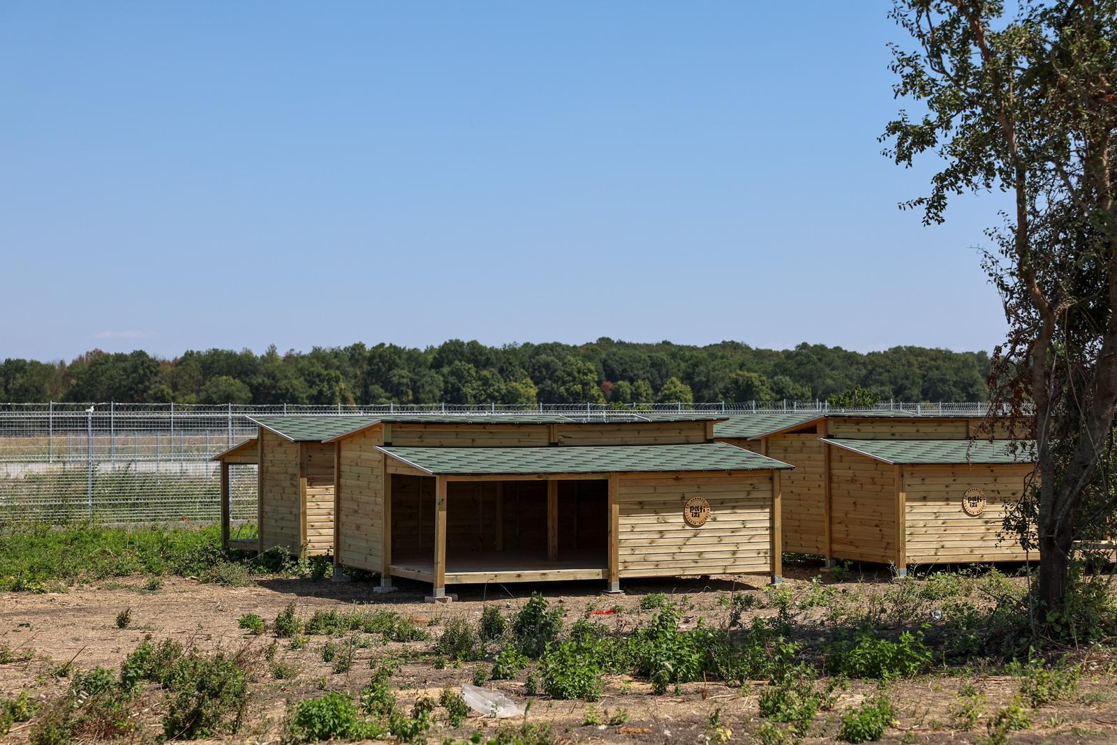 Yusuf Alemdar Türkiye’nin en modern hayvan doğal yaşam alanı için tarih verdi: Pati kafe, çocuk oyun alanları, hayvan kütüphanesine geri sayım…