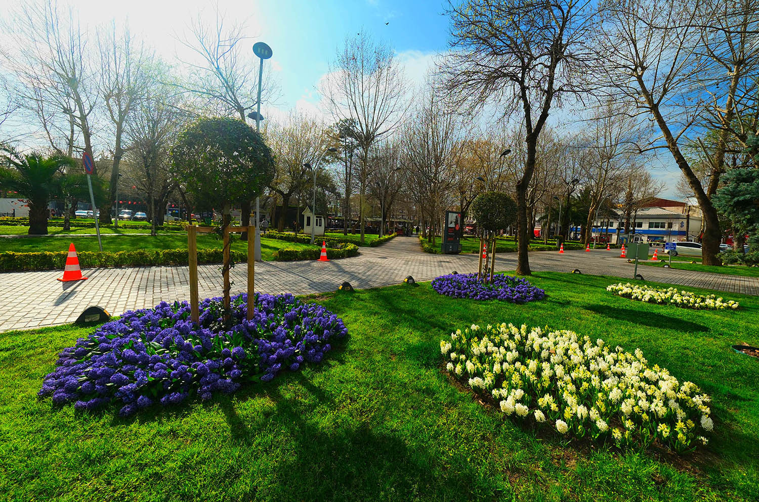 Sakarya’da baharın büyüleyici cümbüşü