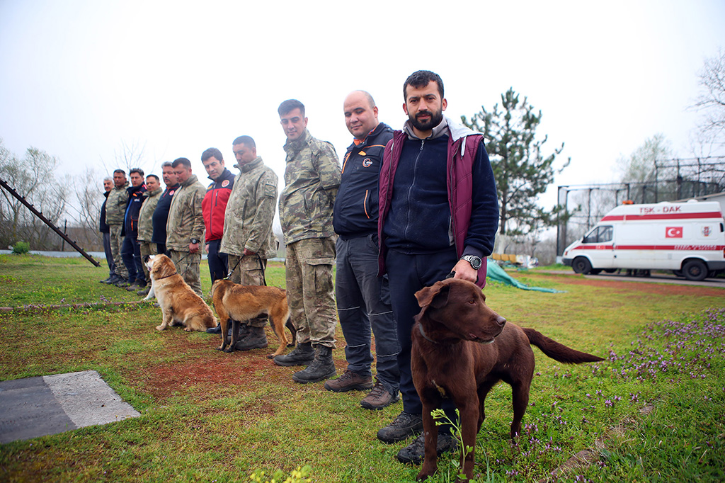 Büyükşehir öncü oldu: Canları kurtaracak köpekler en zor güne hazırlanıyor