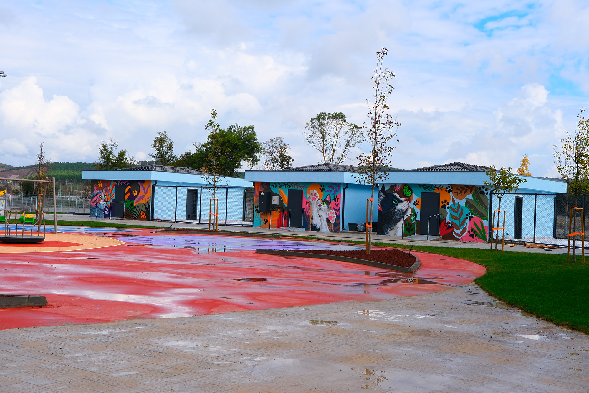 Doğal Yaşam Kampüsü’ne anlam katan grafiti sanatı