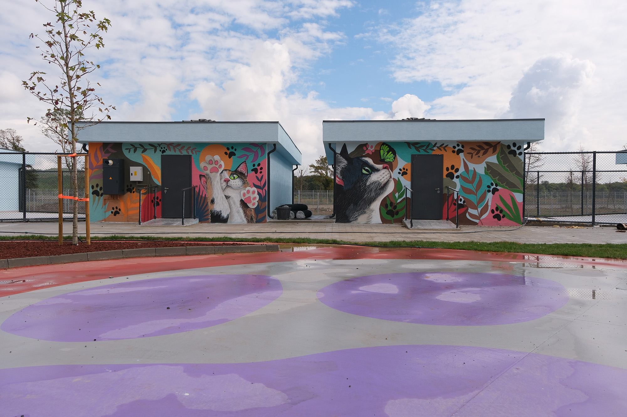 Doğal Yaşam Kampüsü’ne anlam katan grafiti sanatı