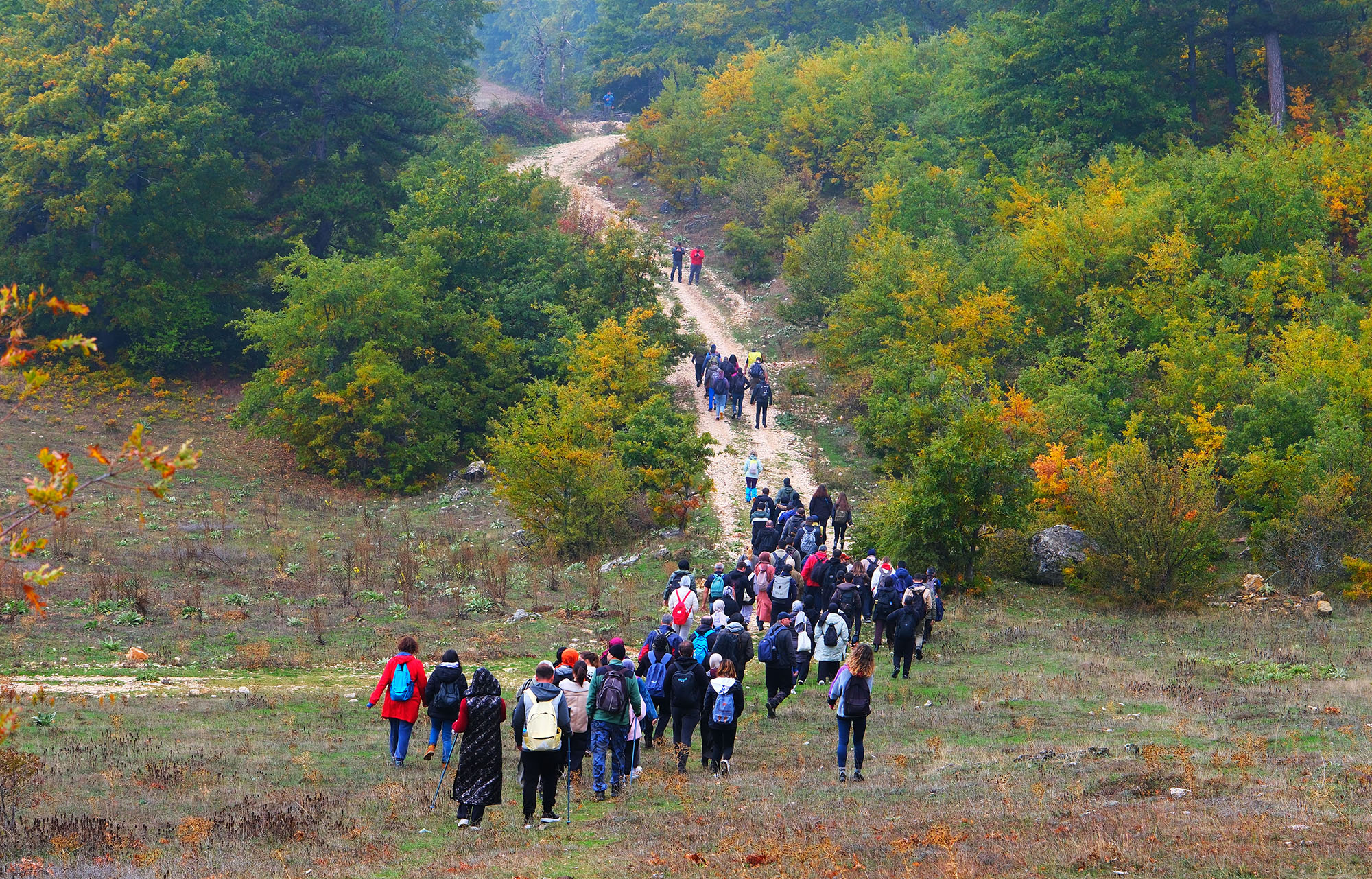 Yaylalardan longoz ormanlarına: Sakarya’da doğayla iç içe sonbahar