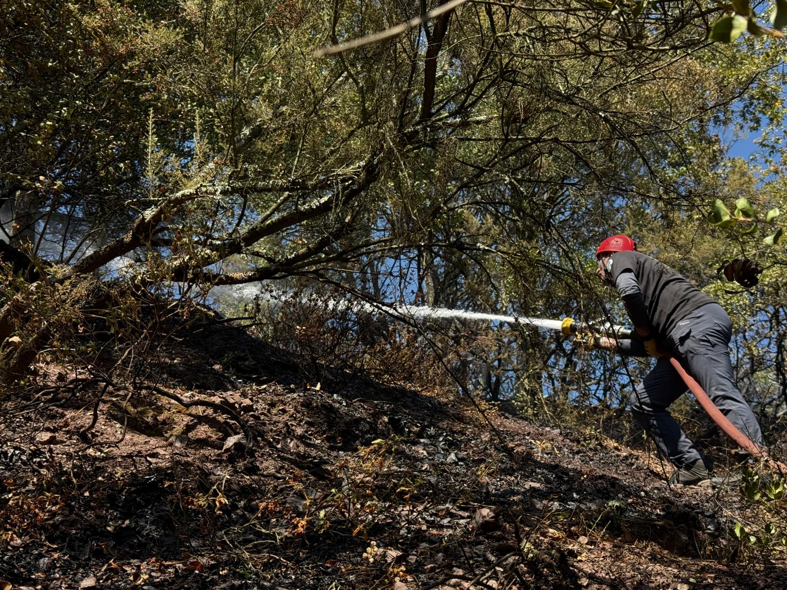 4 saatte 3 orman yangını kontrol altına alındı