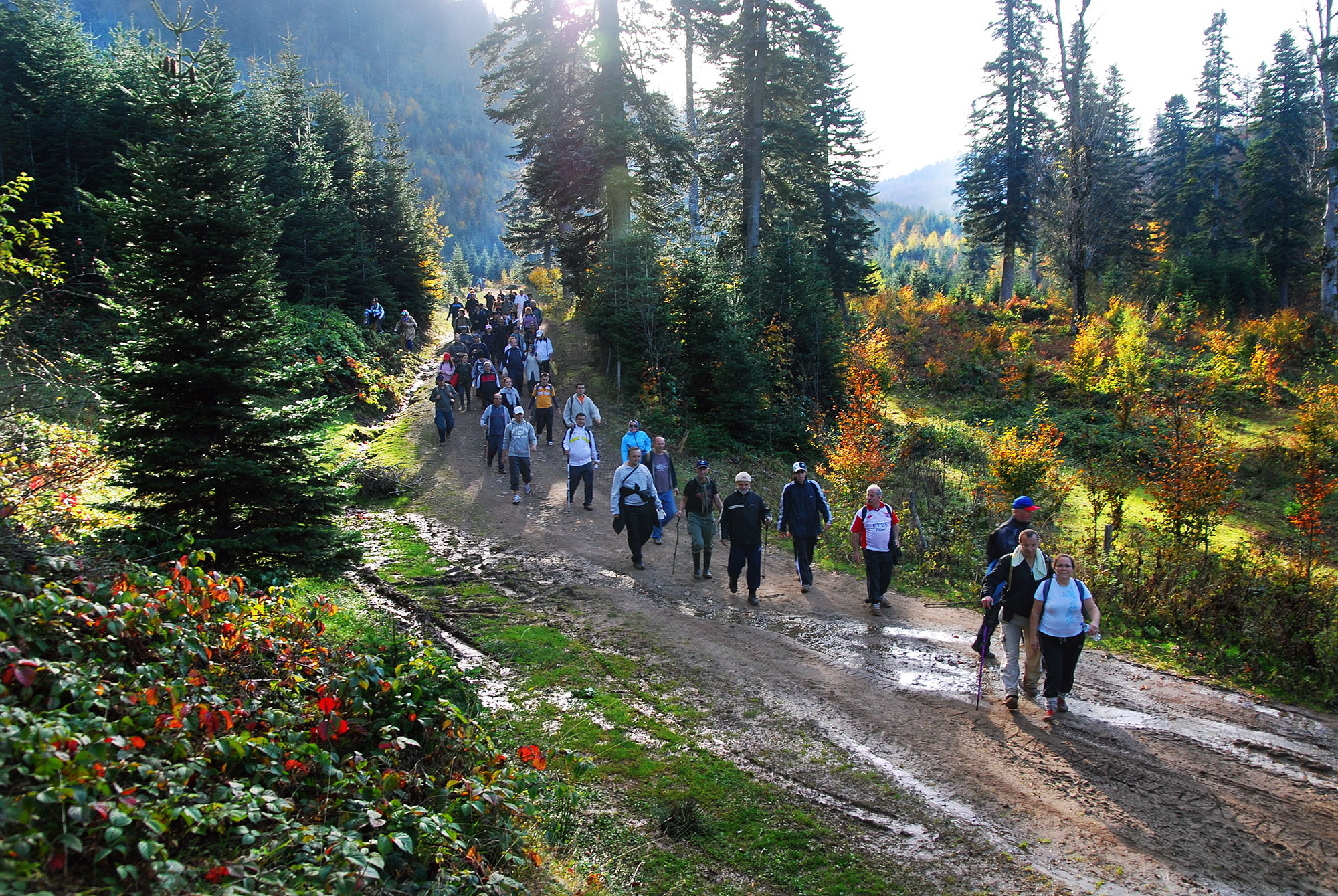 Sakarya’da doğa tutkunlarının beklediği takvim geldi: Baharı muhteşem manzarayla karşılayacaklar…