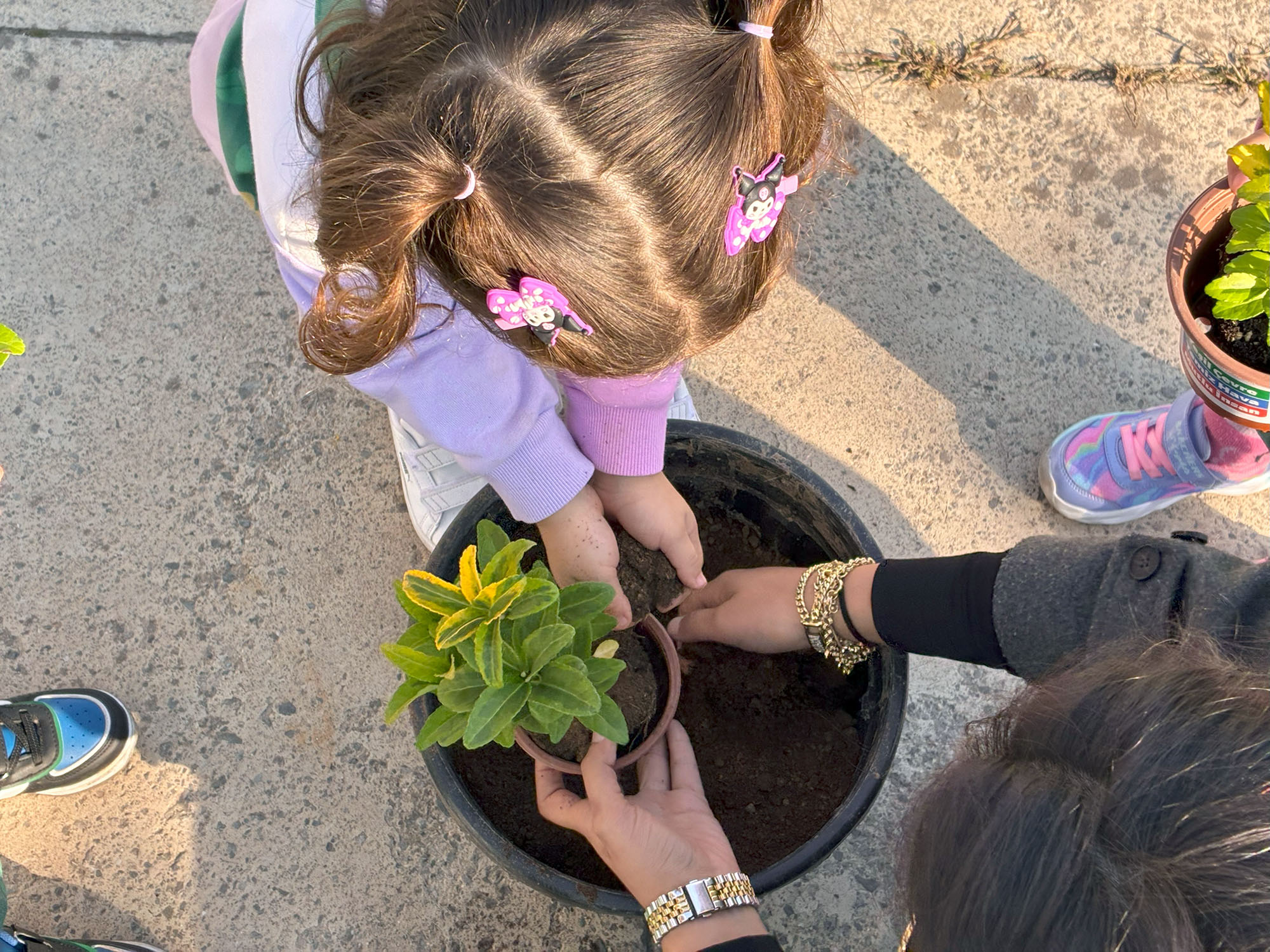 Toprağa dokunan minik eller Sakarya’da umudu ekti