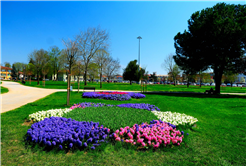 Sakarya’da baharın büyüleyici cümbüşü