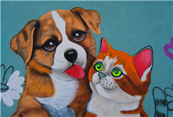 Doğal Yaşam Kampüsü’ne anlam katan grafiti sanatı