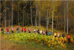 Sakarya’da yılların değişmez takvimi açıklandı: Doğa tutkunları Büyükşehir’le yürüyüşlere başlıyor