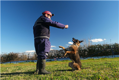 Reina, Ateş, Google ve Qill en zor anda ‘umut’ olmak için hep hazır kıta