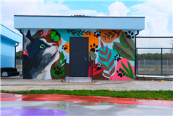 Doğal Yaşam Kampüsü’ne anlam katan grafiti sanatı