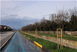 Büyükşehir’in ‘Yeşil Şehir’ vizyonu sahada: 3 ayda 2 bin 500 ağaç toprakla buluştu