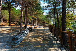 Sapanca Gölü kıyısında ‘huzur veren’ doğa projesi kapılarını açtı