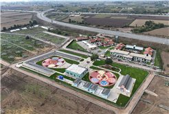 Pati İzi, 700’ü aşkın patili dostu yeni yuvasına kavuşturdu