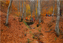 Sakarya’da yılların değişmez takvimi açıklandı: Doğa tutkunları Büyükşehir’le yürüyüşlere başlıyor