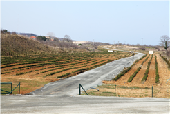 Dünyanın en büyük aromatik bahçesinde bahar bereketi
