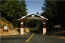 Doğanın kalbi Sakarya’da attı: İki yeşil noktaya 605 bin ziyaretçi