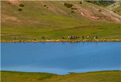 Doğaseverlerin bu haftaki rotası Karagöl ve Sultanpınarı Yaylası oldu