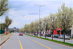 Sakarya’da baharın büyüleyici cümbüşü