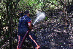 4 saatte 3 orman yangını kontrol altına alındı