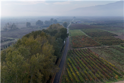 Pamukova ulaşımı için yepyeni bir dönem: 6 mahallede işlem tamam