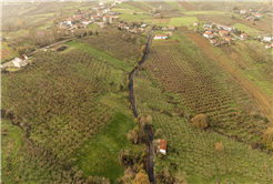 Kaynarca’da asfalt sevinci: Bu sezon toplam 31 kilometre yol yenilendi