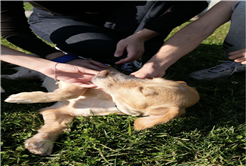 Sakarya’da sevgiyle büyüyen bir başarı hikâyesi…