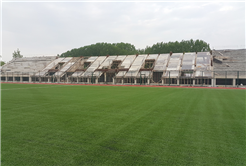 Spora Desteğimizi Artıracağız