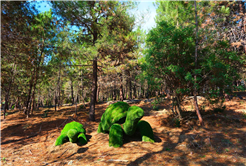 Sapanca Gölü kıyısında ‘huzur veren’ doğa projesi kapılarını açtı