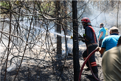 Büyükşehir İtfaiyesi yangın bölgelerinde tüm gücüyle müdahalede