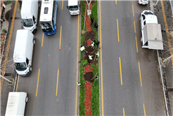 Büyükşehir’in ‘Yeşil Şehir’ vizyonu sahada: 3 ayda 2 bin 500 ağaç toprakla buluştu