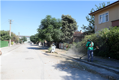 Yaşamın kalbi şehrin sokaklarında atacak