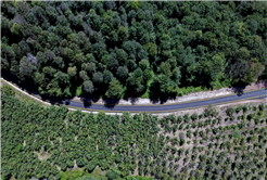 Kocaali’de asfaltın ardından yollar çizgilerle güvenli hale geldi