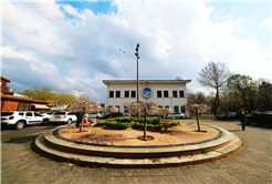 Sakarya’da baharın büyüleyici cümbüşü