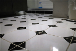 Evi görünce terk etmeyi düşündü: Binlerce kokarcanın istila kabusunu TUTSAK bitirdi