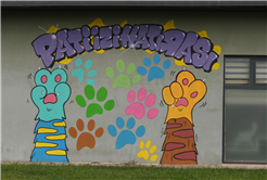 Doğal Yaşam Kampüsü’ne anlam katan grafiti sanatı