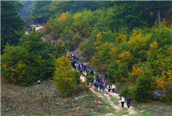 Yaylalardan longoz ormanlarına: Sakarya’da doğayla iç içe sonbahar