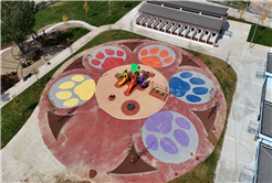 “Sokak Hayvanları Doğal Yaşam Kampüsü yakında kapılarını açacak”