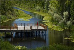 Türkiye Kültür Yolu Festivali 2026’da Sakarya’da: “Şehrimiz en iyi festivale ev sahipliği yapacak”