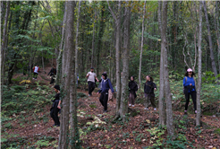 Yaylalardan longoz ormanlarına: Sakarya’da doğayla iç içe sonbahar
