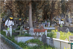 Büyükşehir 16 ilçeyi ‘bayramın en vefalı ziyaretine’ hazırlıyor