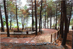 Sapanca Gölü kıyısında ‘huzur veren’ doğa projesi kapılarını açtı